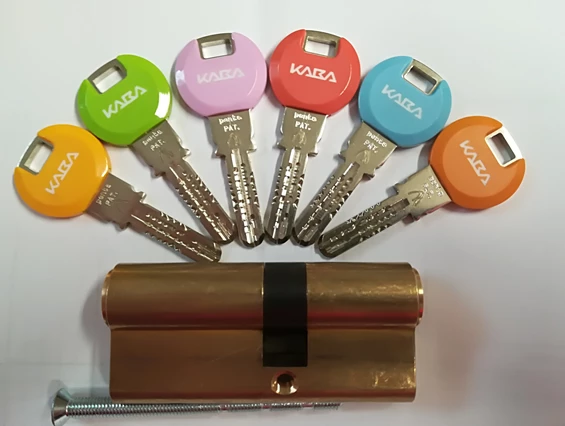 Schlüsseldienst: dormakaba Einbaudoppelzylinder mit BSZ Sperre - Schlüssel Manufaktur Mag. Anne Vallery